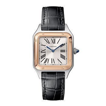 Cartier Santos Dumont Small WSSA0023